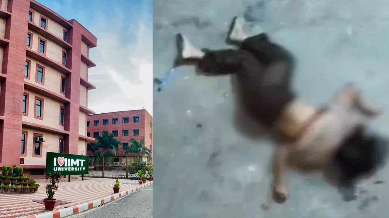 IIMT University