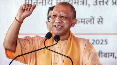 yogi