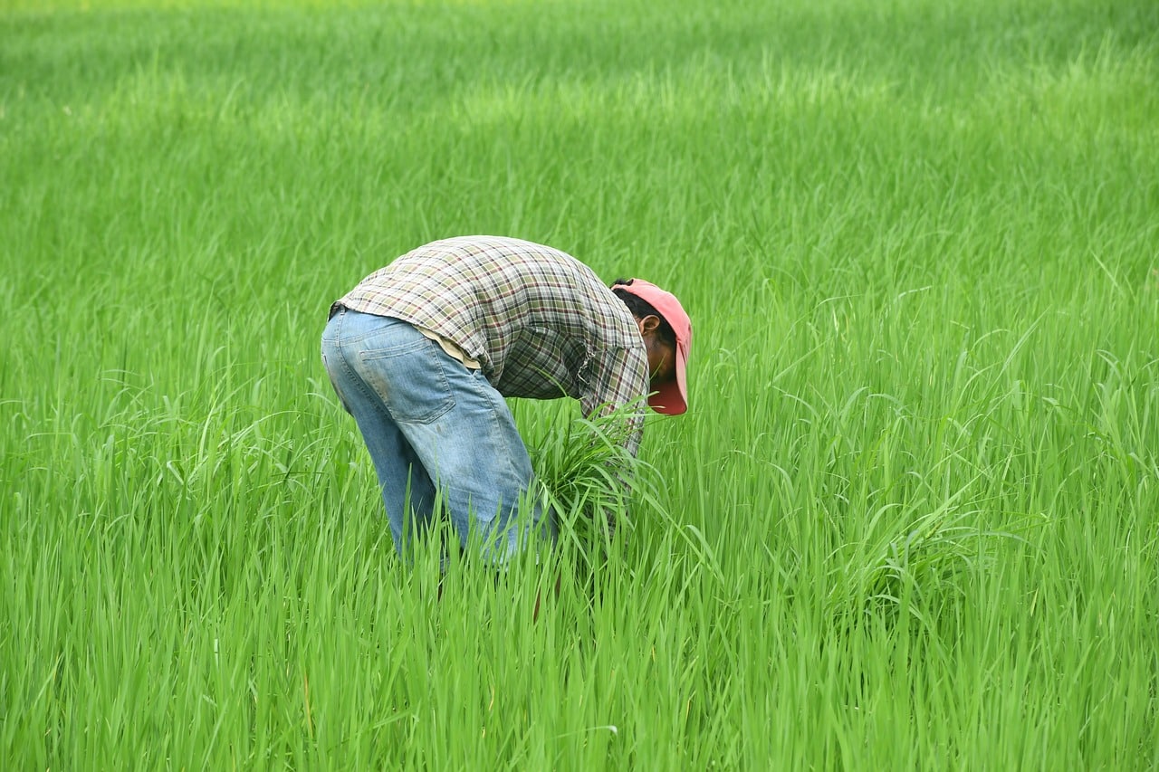 What is the eligibility for the PM Kisan Yojana
