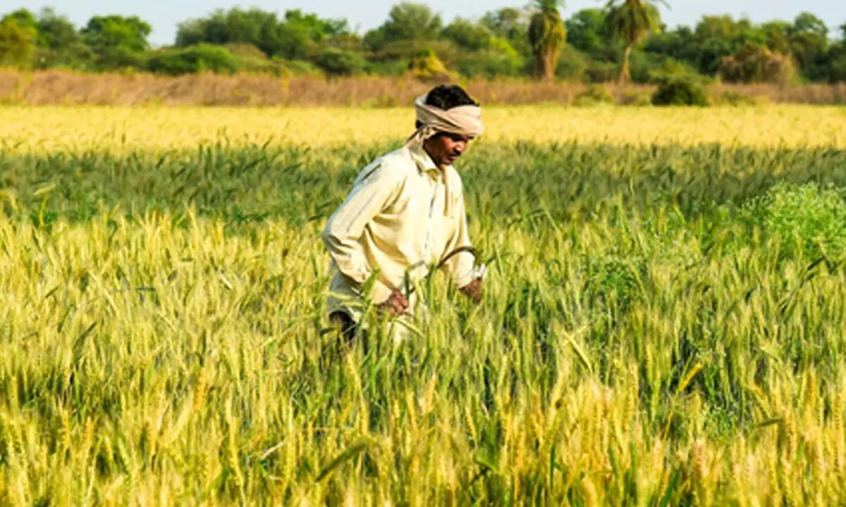 What is the PM Kisan Samman Nidhi Yojana